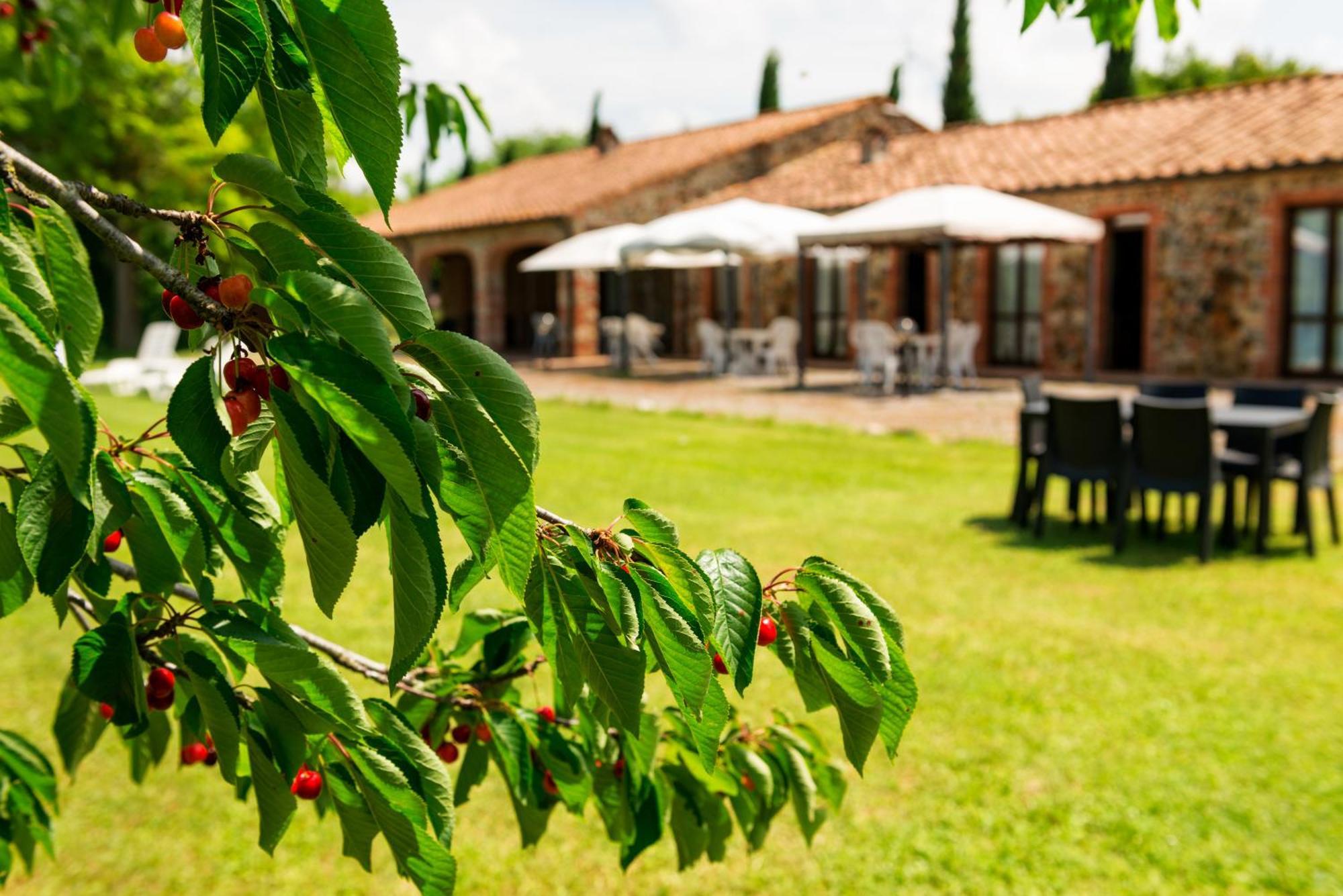 Podere Cascatelle&Agriletizia - Cascate Naturali Daire Massa Marittima Dış mekan fotoğraf