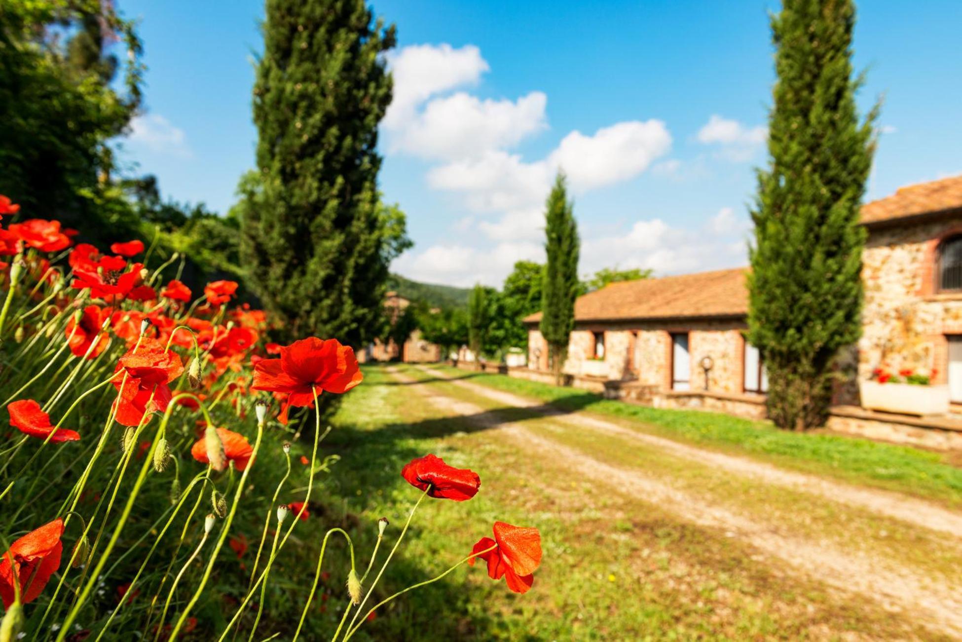 Podere Cascatelle&Agriletizia - Cascate Naturali Daire Massa Marittima Dış mekan fotoğraf